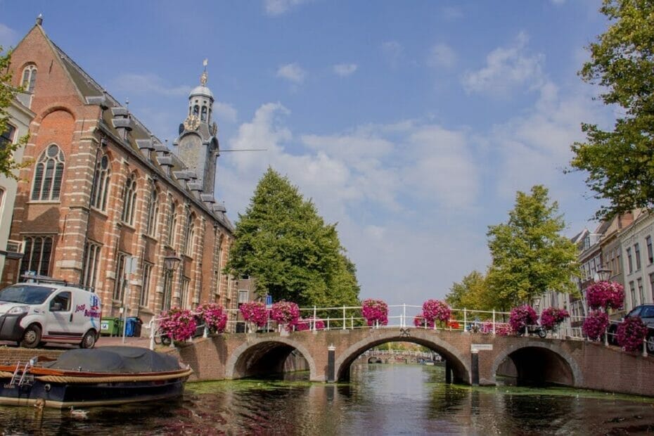 Master's degree scholarships by Leiden University