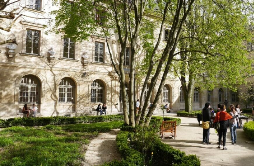 ENS International scholarships