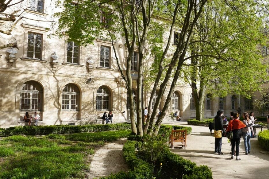 ENS International scholarships