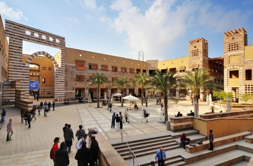 Nevine Loutfy undergraduate scholarships