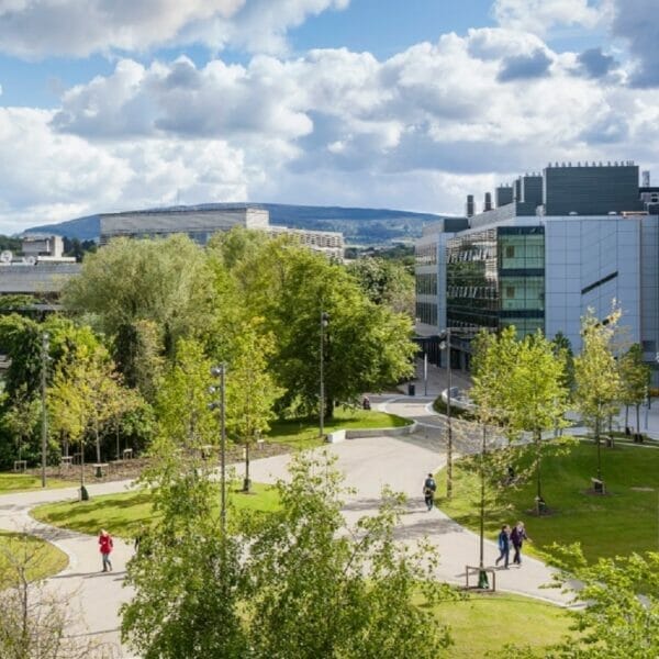 University College Dublin MBA scholarships