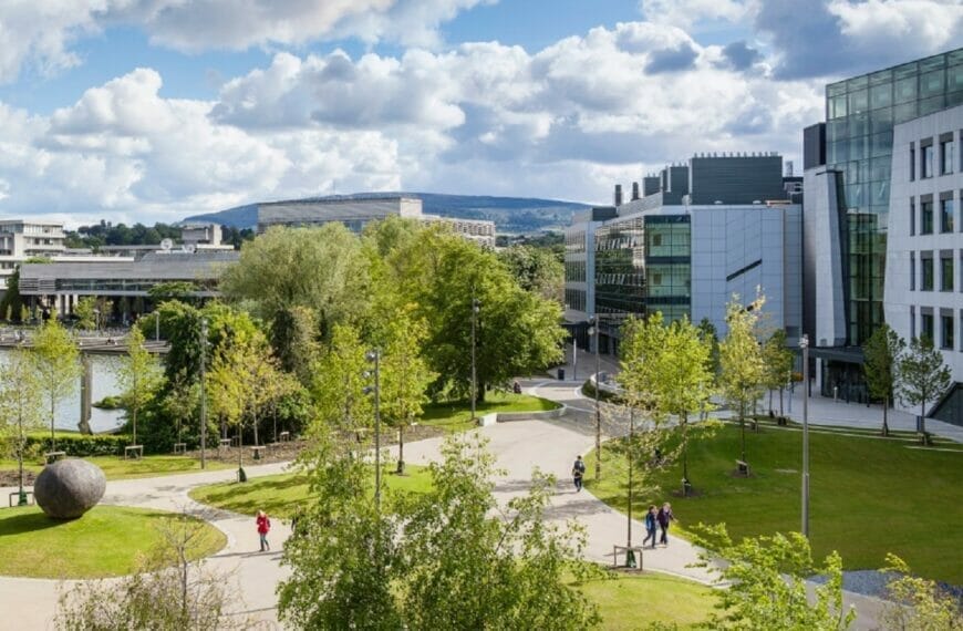 University College Dublin MBA scholarships