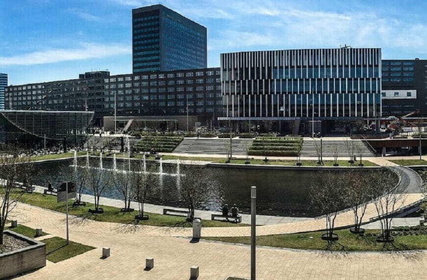 Erasmus University awards MBA Scholarship