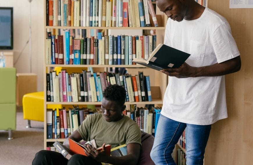 The federal scholarship board for Nigerians