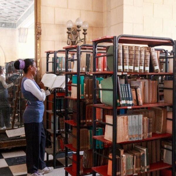 The Presidential Amnesty Programme (PAP) annual scholarship