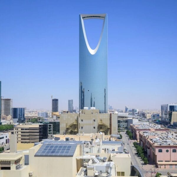KAUST Global fellowship