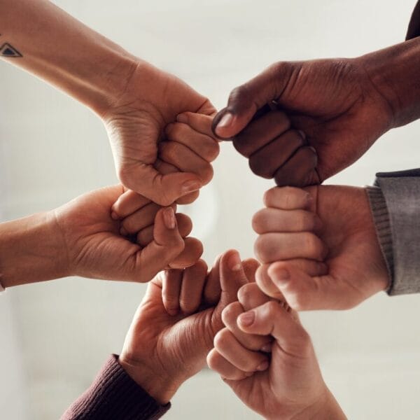 Cowrywise Ambassador Program