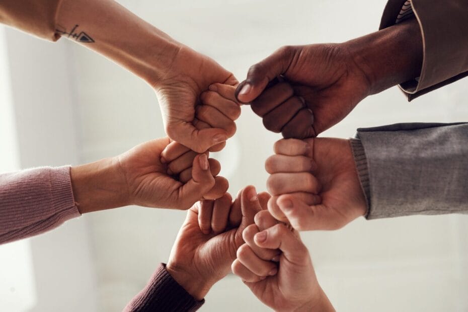 Cowrywise Ambassador Program